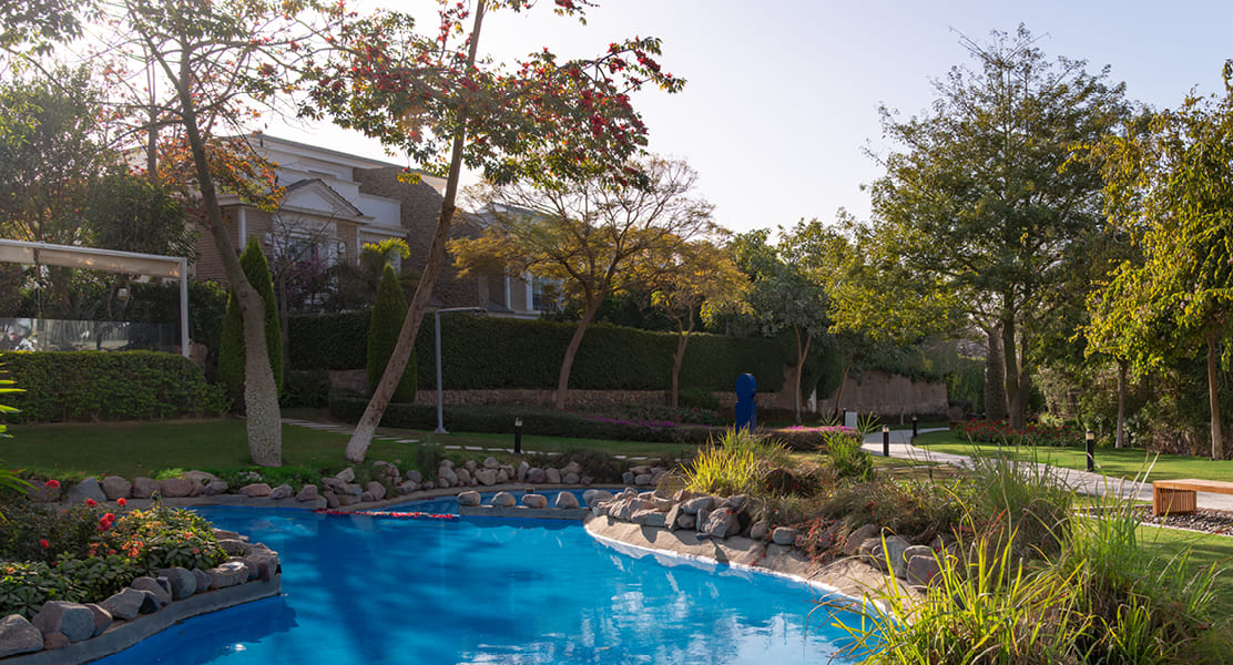 Blog Visuals - body 2 mv2.jpg