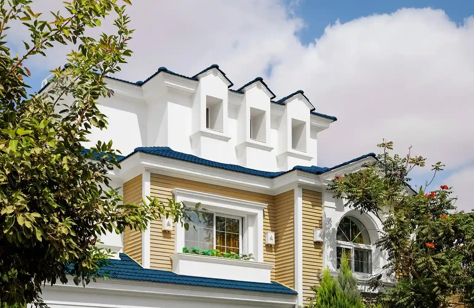 image slider