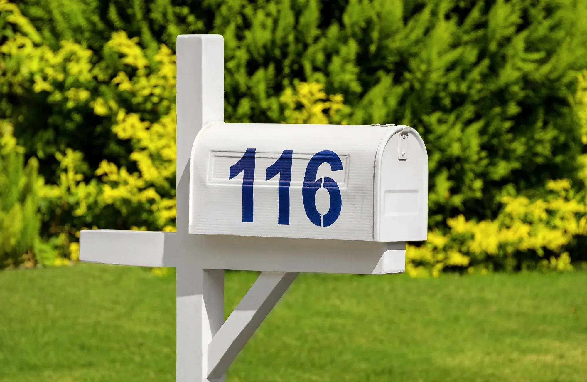 image slider