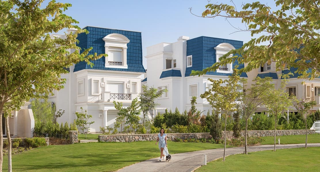 real estate development